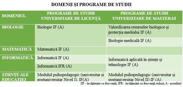 Domenii si programe de studii